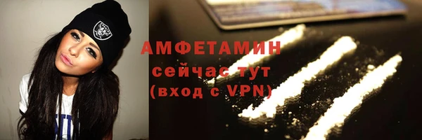 сатива Алзамай