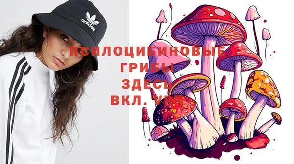 стаф Абдулино