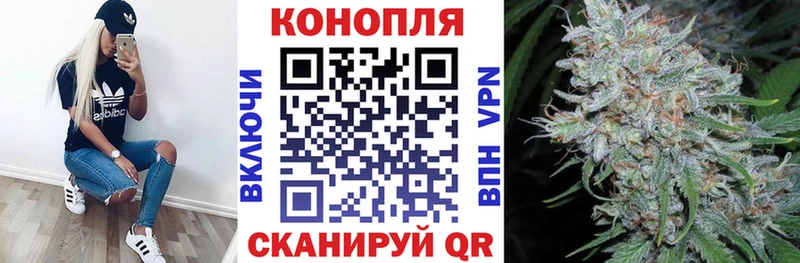 Каннабис семена  Нальчик 